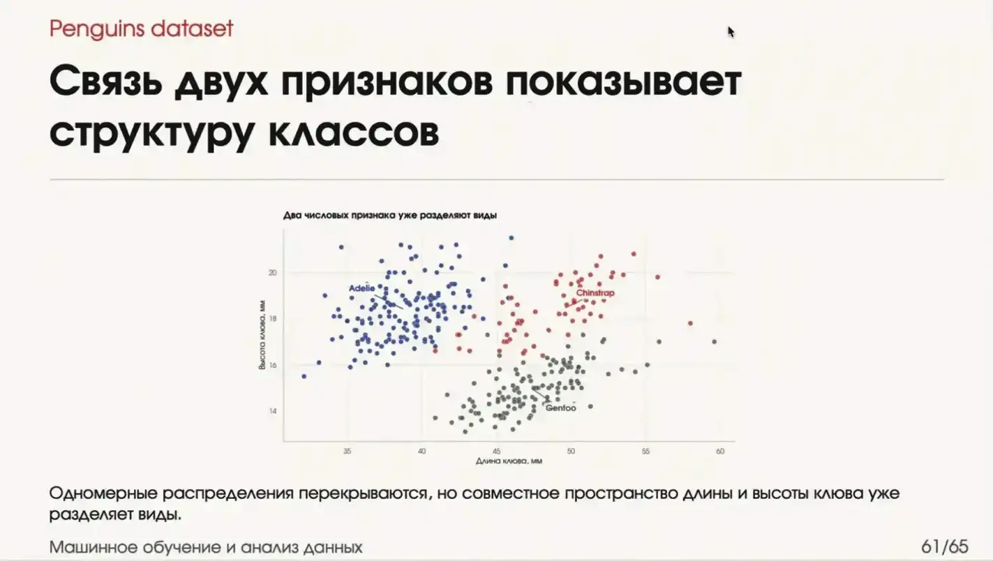 датасет пингвинов