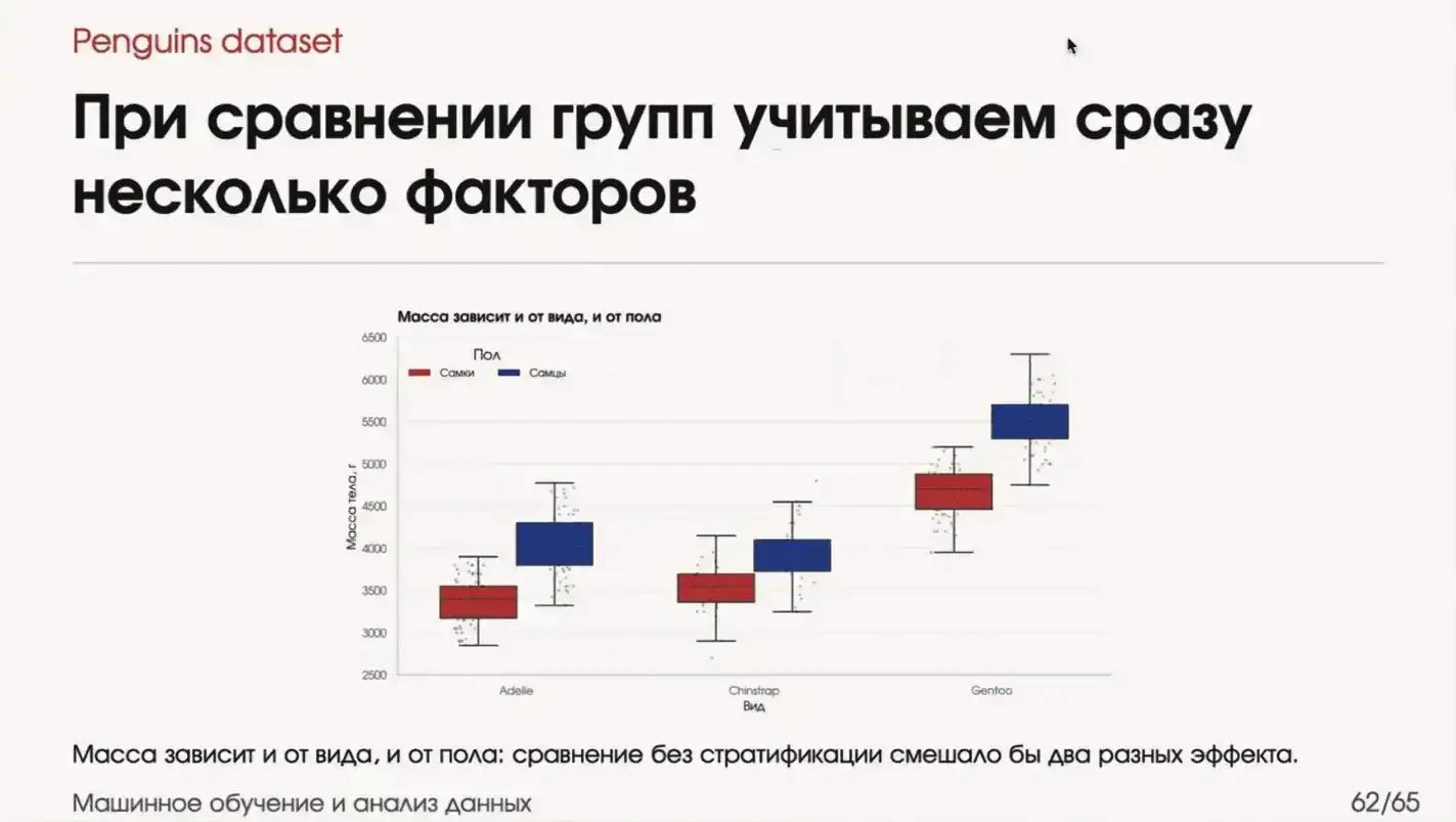 датасет пингвинов