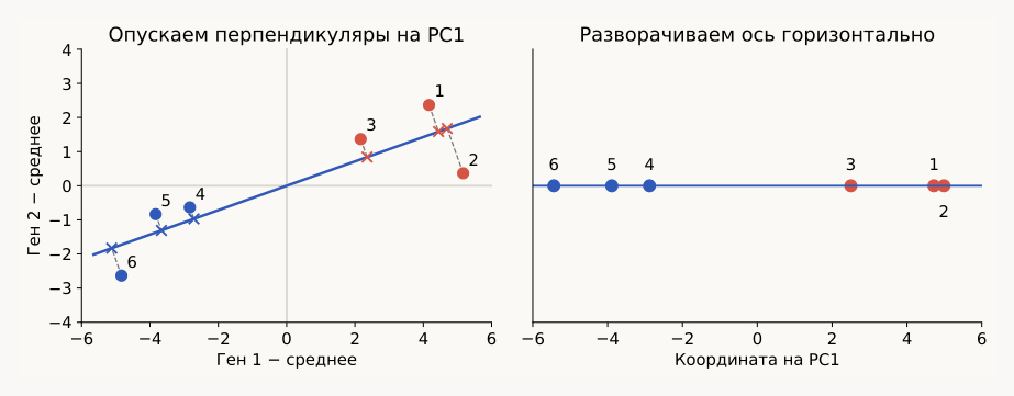 Проекция и новые координаты