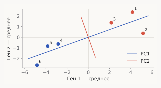 Первая и вторая главные компоненты