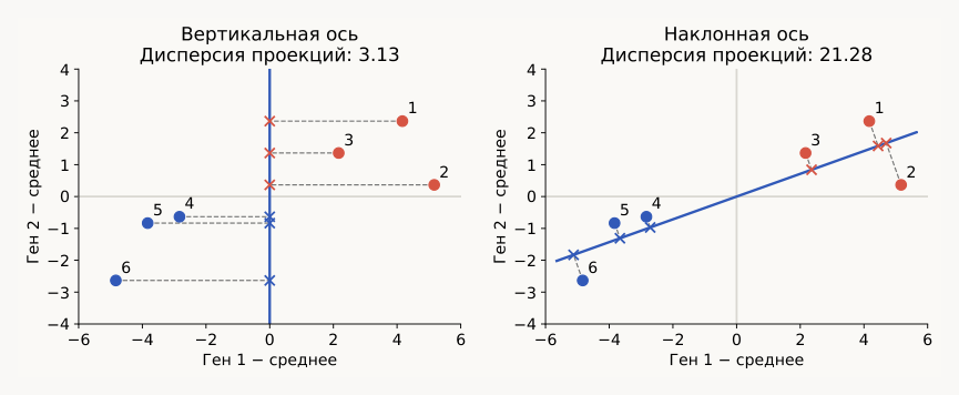 Сравнение направлений проекции